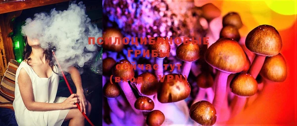 твердый Белоозёрский